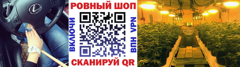 Купить Псилоцибиновые грибы  А ПВП  ГАШ  Марихуана  Меф  Cocaine  Вышний Волочёк