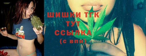 прущие грибы Верхний Тагил