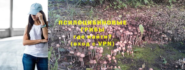 прущие грибы Верхний Тагил