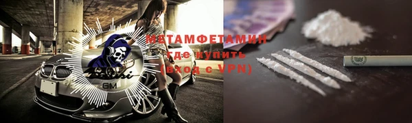прущие грибы Верхний Тагил