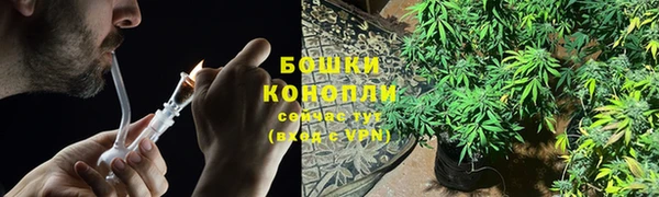 прущие грибы Верхний Тагил