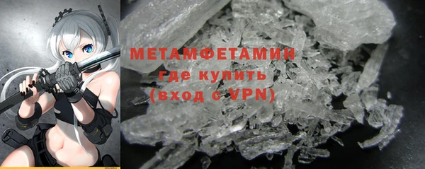 прущие грибы Верхний Тагил