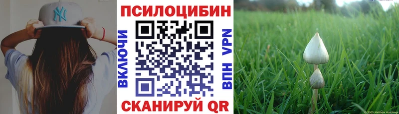 Псилоцибиновые грибы мицелий  Купить закладки  Вышний Волочёк 