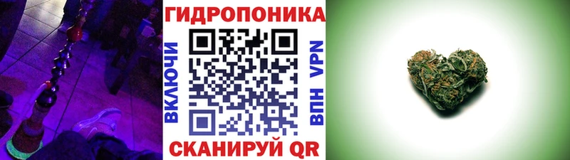 Купить закладки  Вышний Волочёк  Шишки марихуана гибрид 